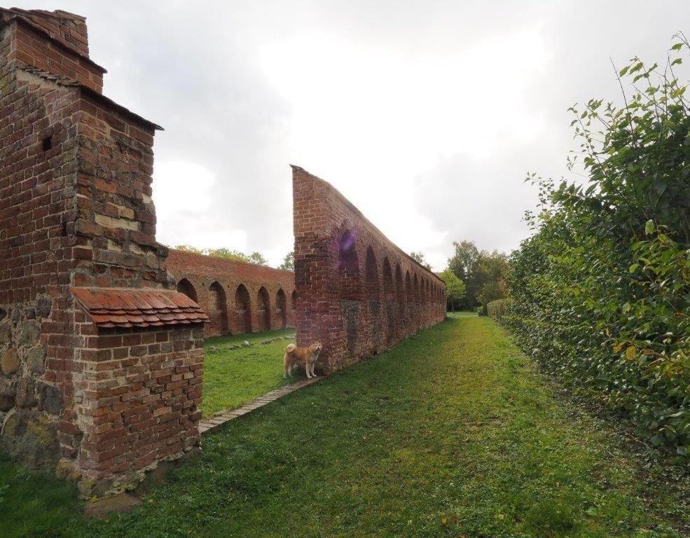 Klosterblick Bad Doberan Luaran gambar